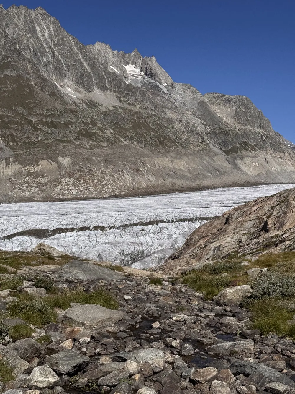 Across the Aletsch Glacier to the Konkordia Hut, photo 5