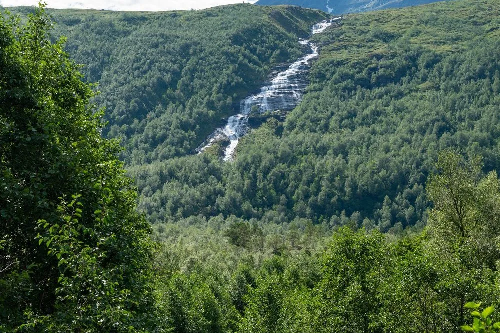 A waterfall down a green mountainside in Innerdalen, a stream between birches below