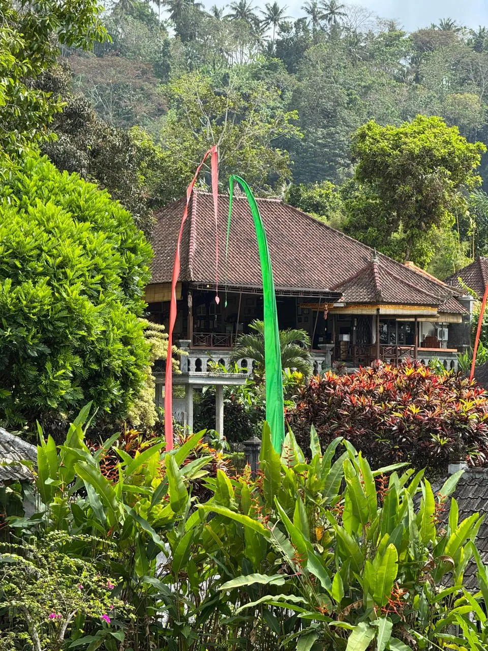 A house with a tiled roof between tropical plants, two long flags in red and green hanging in front