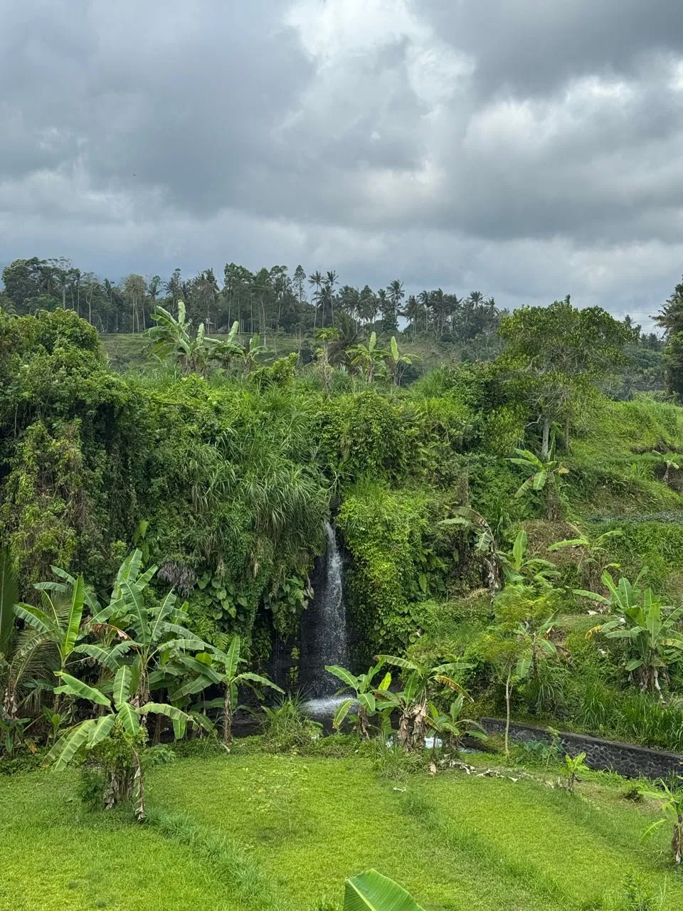 A small waterfall falls between dense greenery, a meadow in front