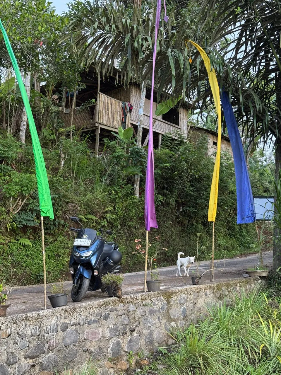 A blue scooter and a white dog on a narrow road, colourful flags on bamboo poles in front