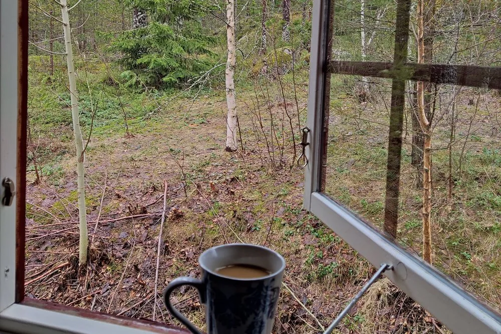 A cup of coffee in front of the open window of the cabin, birches and forest floor outside