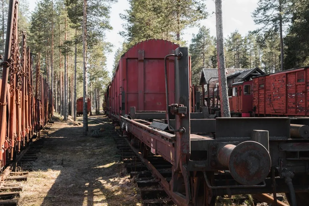 A track between rust-red freight cars, a wagon with chains on the left, pines in the background