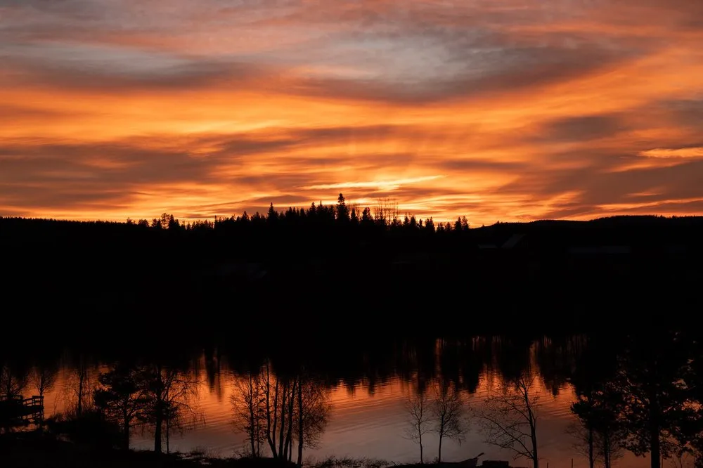 Deep orange sky above black tree silhouettes, the sunset glow reflected in the water below