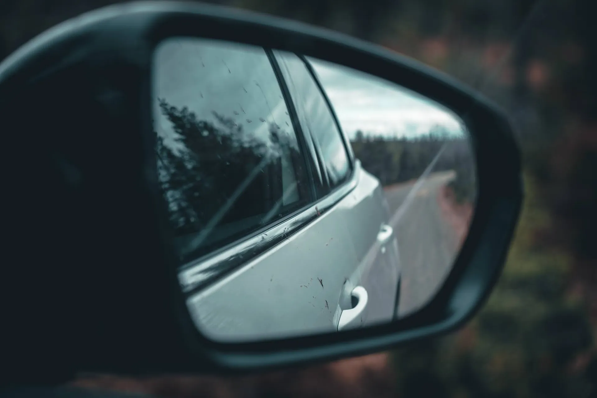 Im Seitenspiegel des Autos sind die Wagentür und die Strasse hinter uns zu sehen, dahinter dunkler Wald