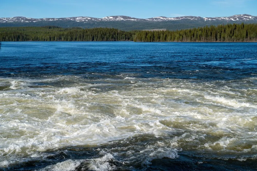 White foaming river water in front of wooded banks, mountains with patches of snow on the horizon