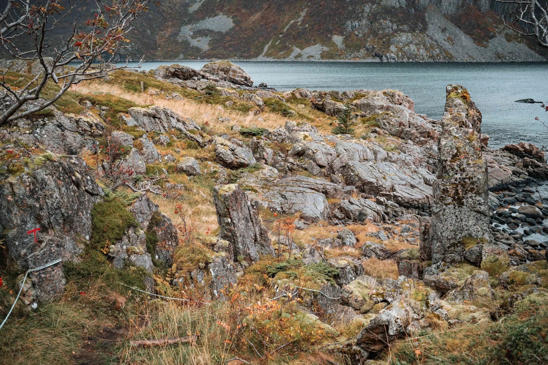 Zerklüftete Felsen mit Moos und Herbstgras am Coastal Trail, im Hintergrund das Meer