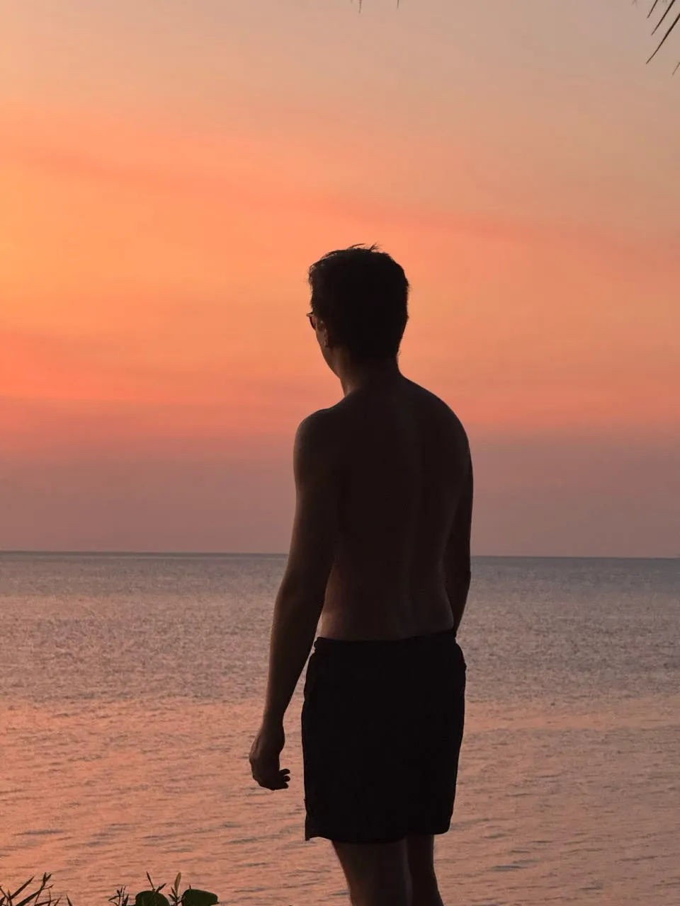 A man in dark swimming trunks stands as a silhouette at the water in front of a pink and orange sky