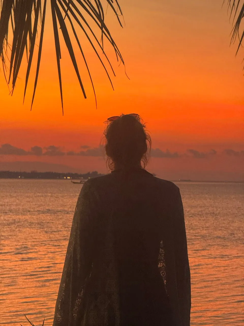 Silhouette of a woman with a hair bun under a palm frond in front of an orange sky, a few lights on the far shore