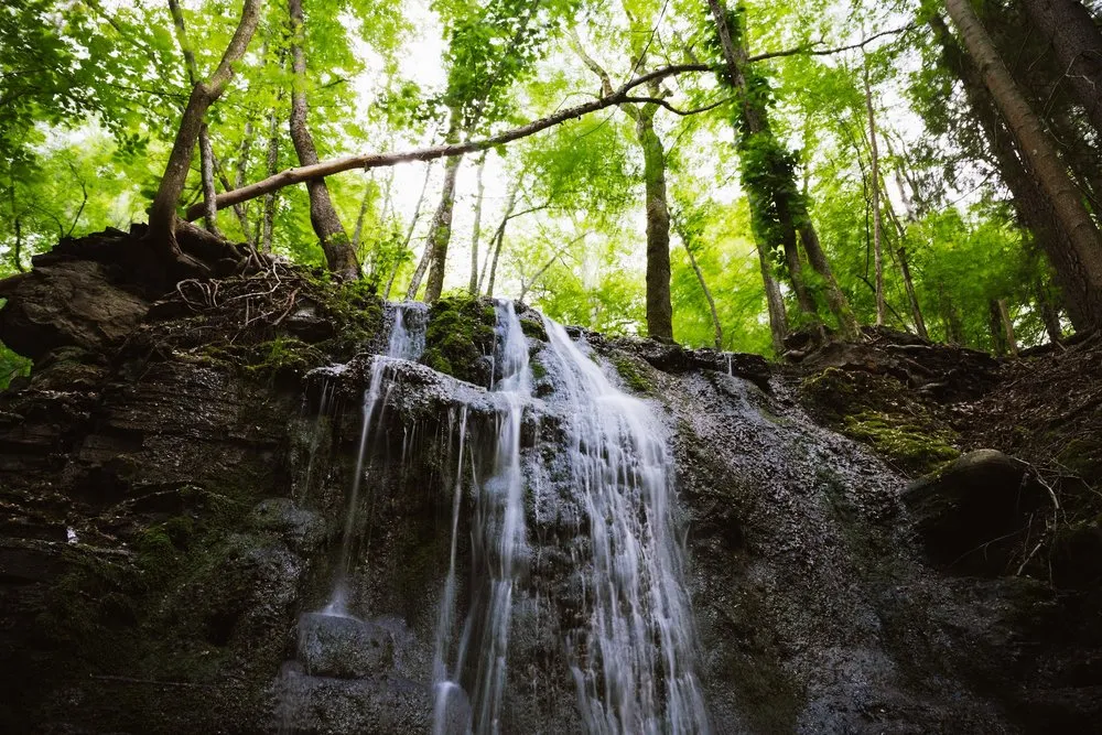 Wasserfall am Silverfallet über eine dunkle Felswand, darüber ein grüner Laubwald mit hellem Himmel