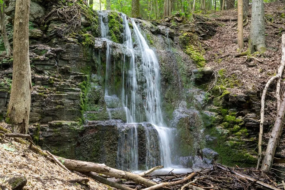 Wasserfall über Schichten aus Gestein und Moos in einem lichten Wald, davor Äste im Bachbett