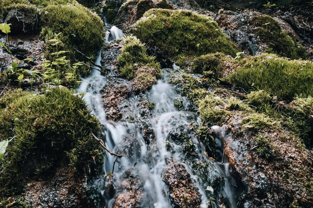 Kleiner Bachlauf zwischen Moospolstern, das Wasser durch die lange Belichtung weich gezeichnet