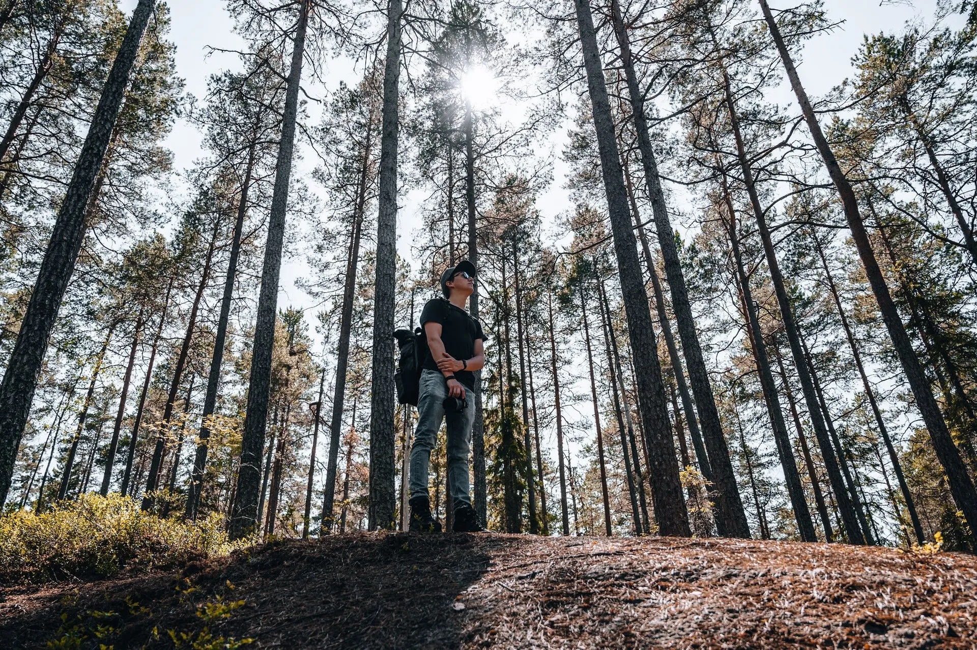 Mann mit Rucksack steht auf einer Anhöhe in einem hohen Kiefernwald, zwischen den Stämmen scheint die Sonne