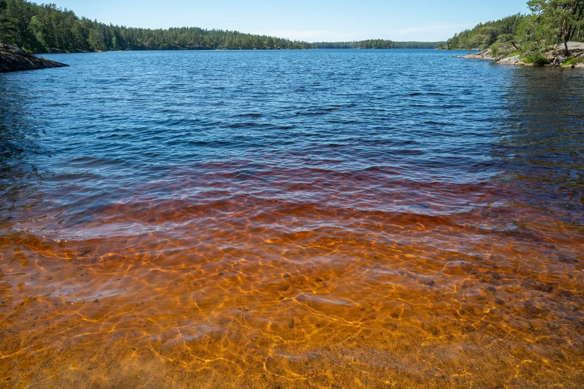 Das Wasser am Ufer eines Sees ist rötlich und gelblich gefärbt, weiter draussen wird es blau