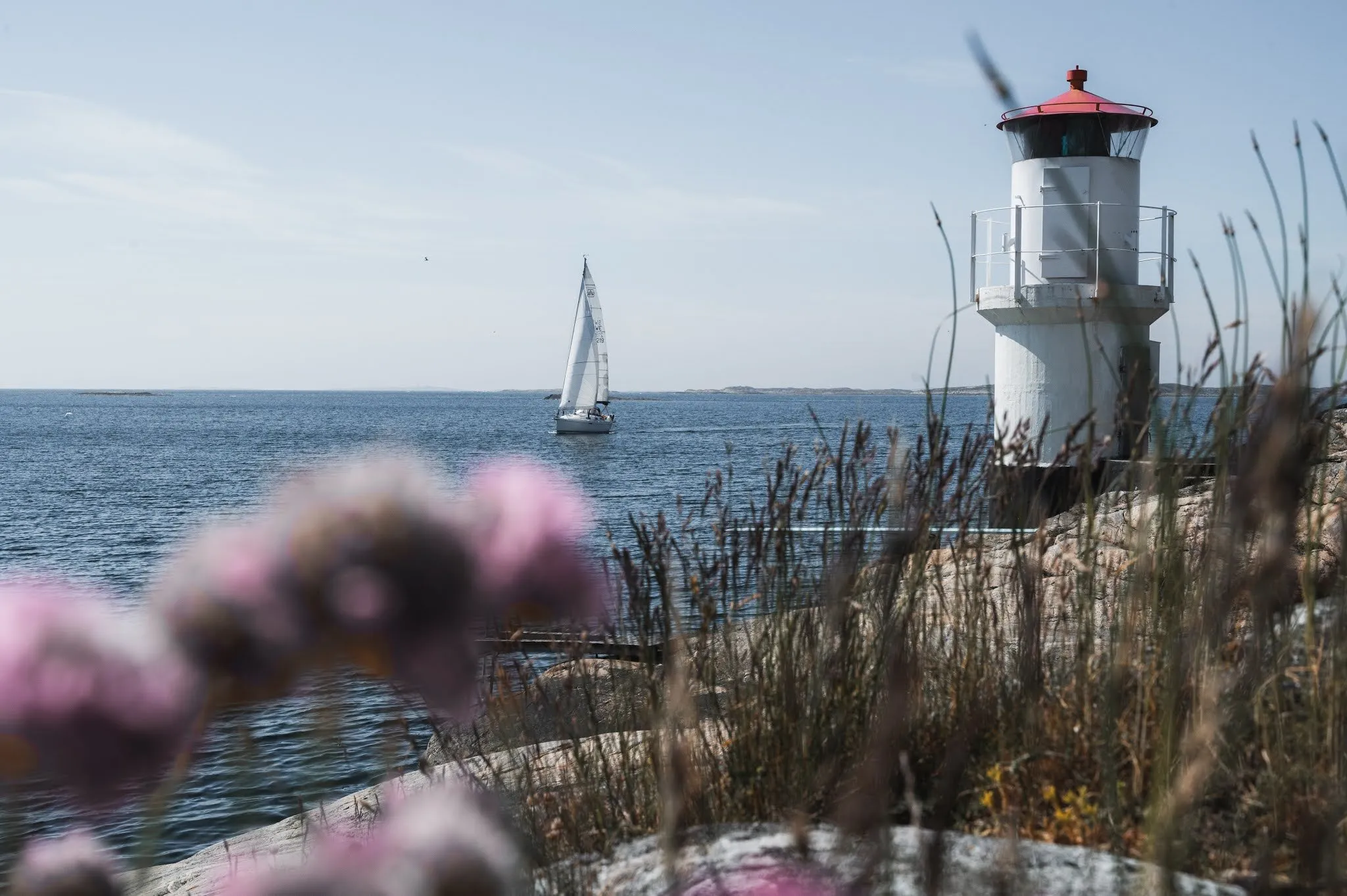 A white lighthouse with a red roof, a sailing boat on the sea beside it, blurred pink flowers in the foreground