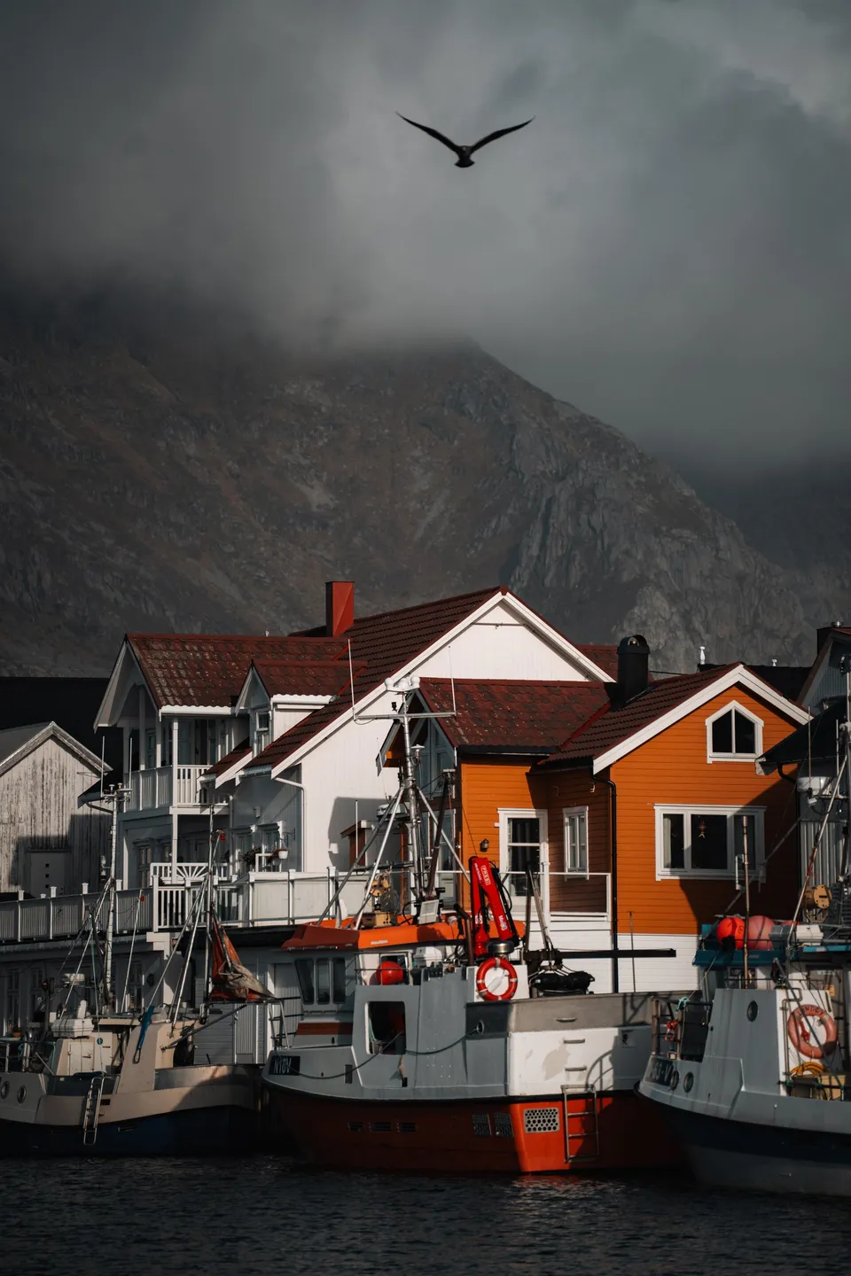Rot-weisse Fischerboote vor einem orangen Haus im Hafen von Henningsvær, darüber eine Möwe unter dunklen Wolken