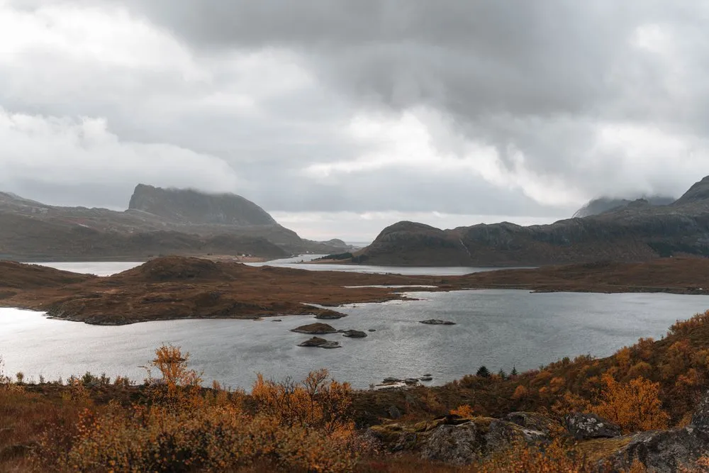 Seen und kleine Inseln zwischen den Bergen, im Vordergrund herbstliches Gestrüpp, auf dem Weg zum Kvalvika Beach