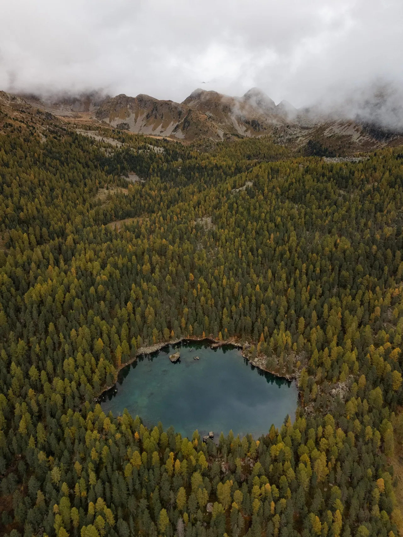 Der Lagh da Saoseo von hoch oben, mitten in einem Wald aus gelben Lärchen und Arven, dahinter Geröllhänge und Gipfel in tiefen Wolken