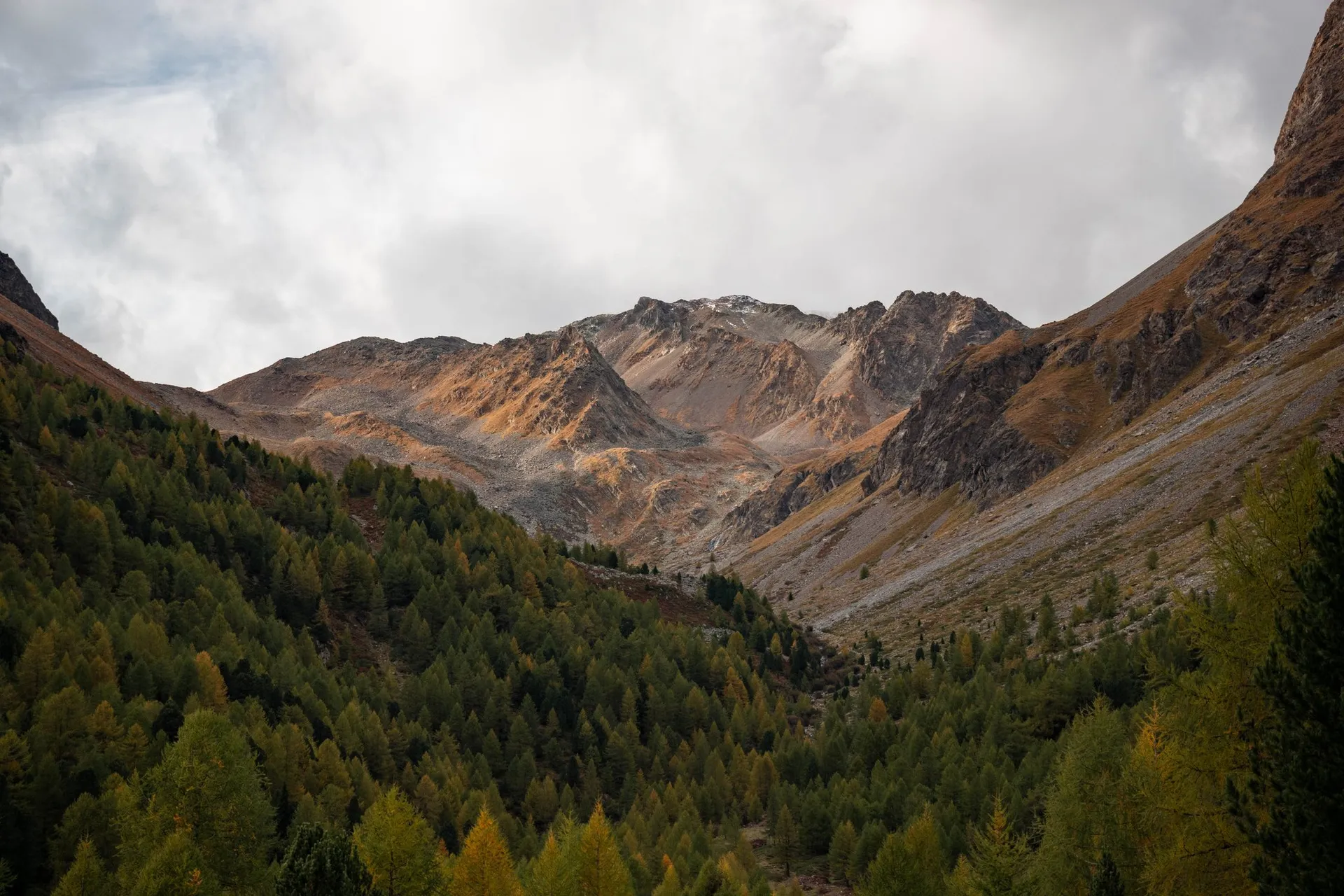 Blick in ein Seitental mit gelben Lärchen an den Flanken, hinten Felsgipfel in der Sonne unter Wolken