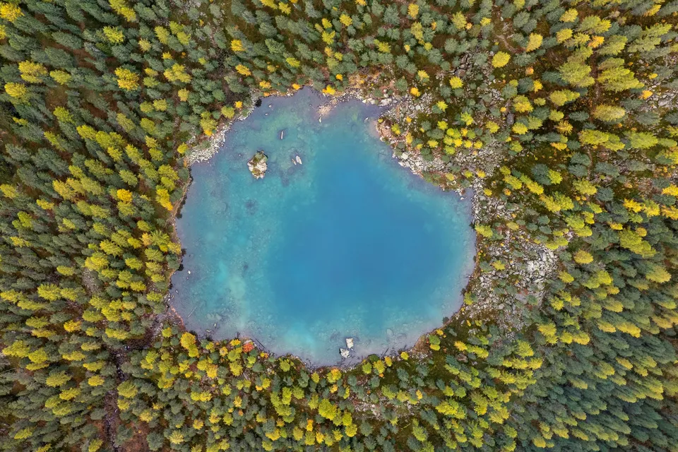 Der türkisblaue Lagh da Saoseo senkrecht von oben, rundum gelbe Lärchen und dunkelgrüne Arven, nahe dem Ufer ein Felsblock als kleine Insel