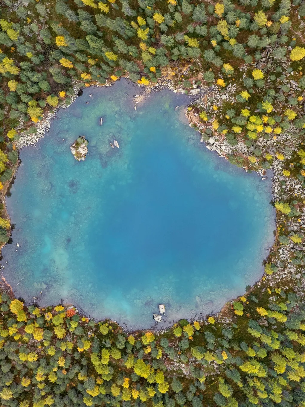 Der türkisblaue Lagh da Saoseo senkrecht von oben, rundum gelbe Lärchen und dunkelgrüne Arven, nahe dem Ufer ein Felsblock als kleine Insel