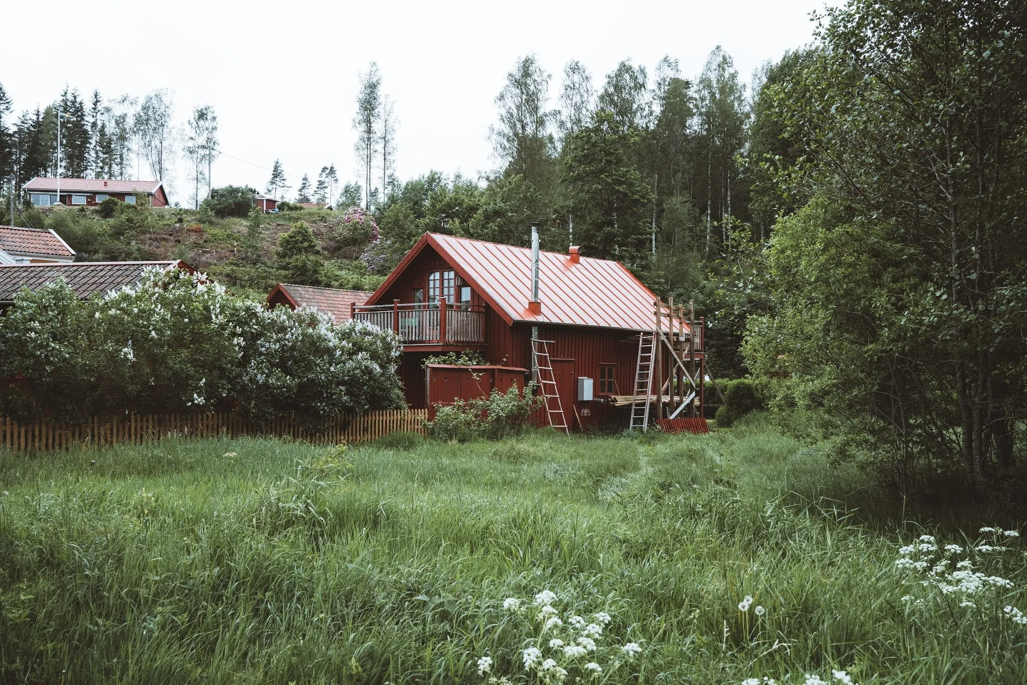 A red wooden house with a balcony at the edge of the forest, a tall meadow with white flowers in front