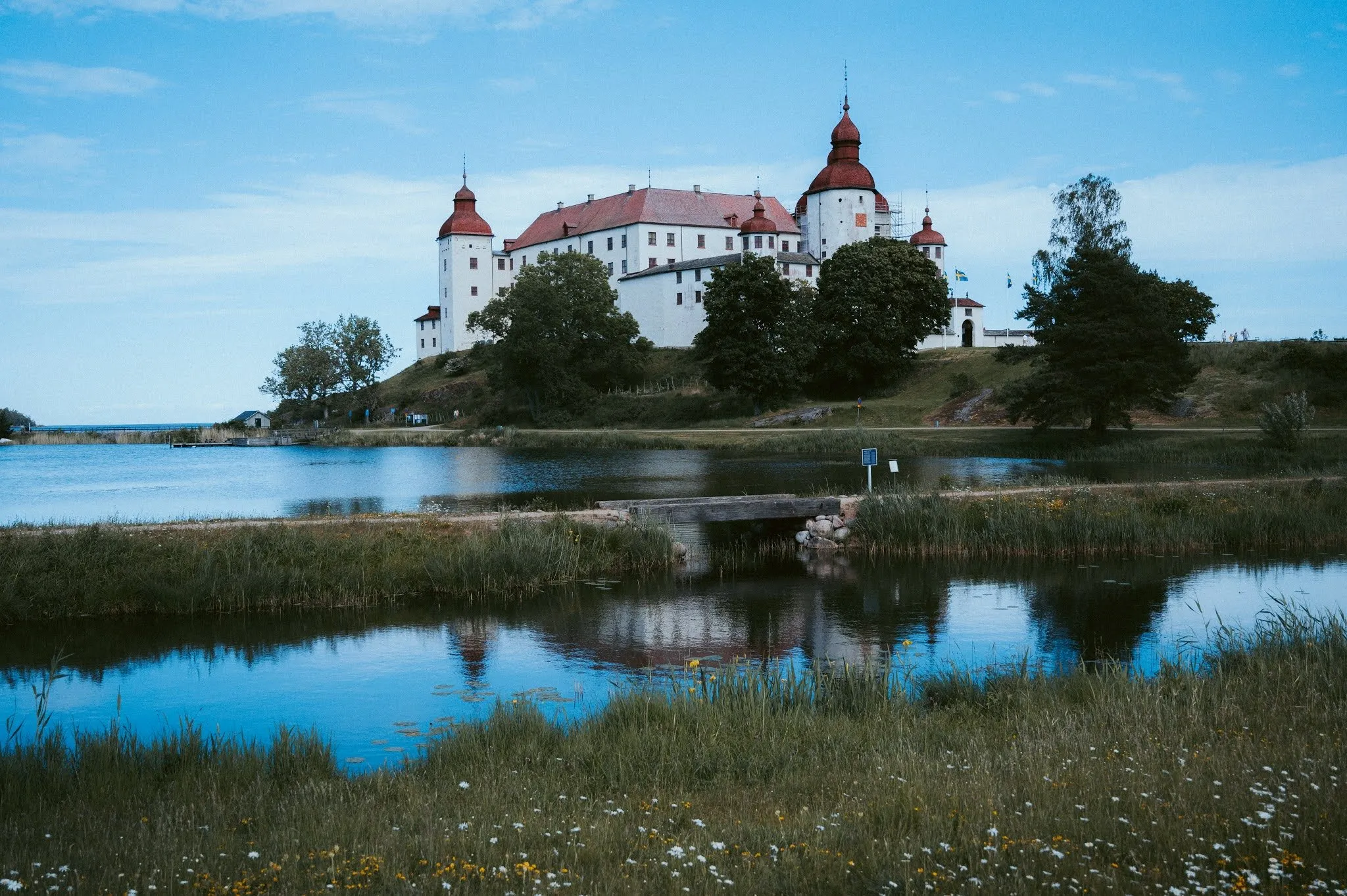 Läckö Slott with red domed roofs behind a bay with reeds, meadow flowers in the foreground