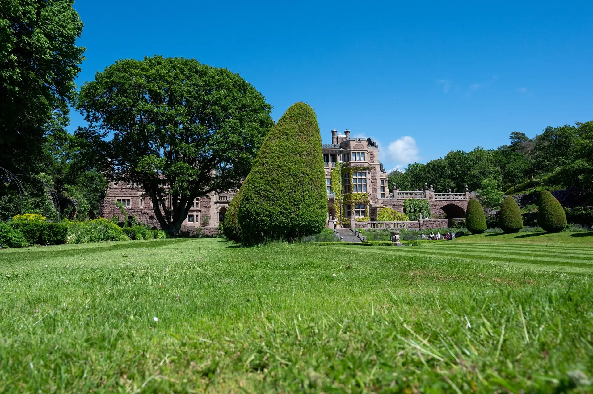 Tjolöholms Slott behind a mown lawn and a cone-shaped trimmed tree