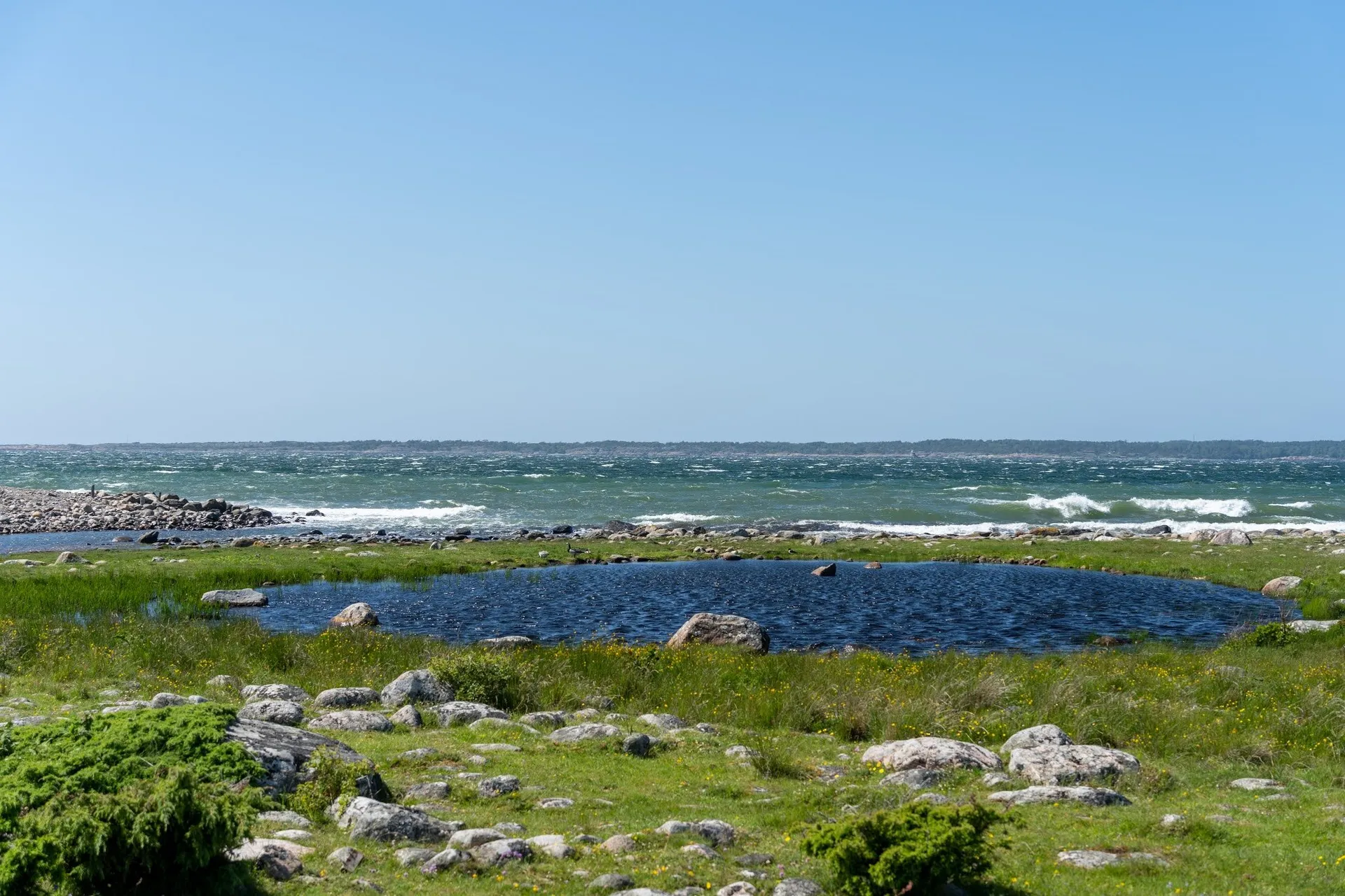A small pond in a grassy coastal landscape with stones, the sea with white waves behind