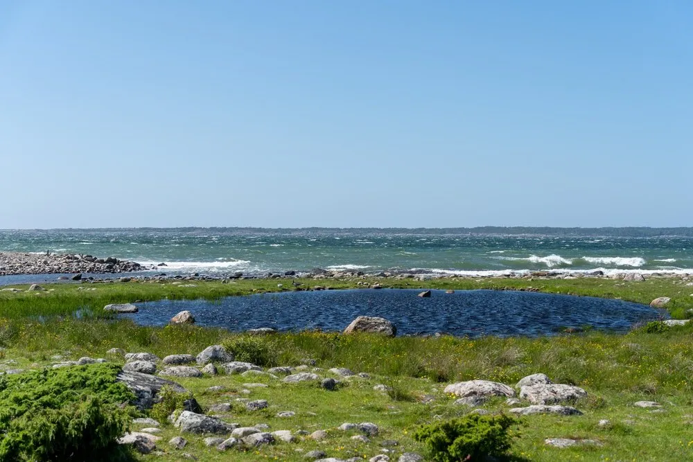 Ein kleiner Teich in einer grasigen Küstenlandschaft mit Steinen, dahinter das Meer mit weissen Wellen