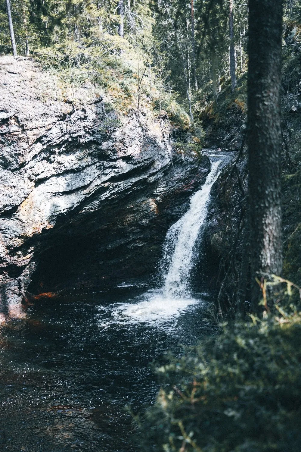 The Tvärfallet plunges over a rock edge into a dark pool, a tree on the right