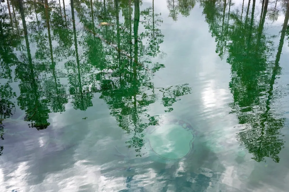Spiegelung von Kiefern und Wolken im klaren Wasser, am Grund zeichnet sich eine runde Quelle ab