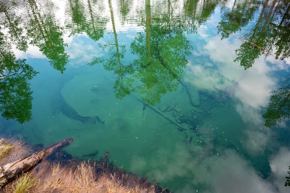 Türkisgrünes Wasser mit Baumspiegelungen, am Grund sind Äste und Vertiefungen zu erkennen
