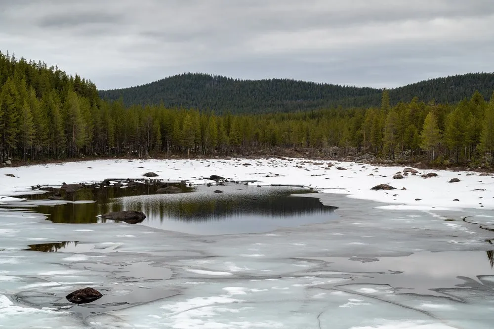 Eisreste und dunkle Wasserstellen in einer flachen Bucht, dahinter Nadelwald und bewaldete Hügel