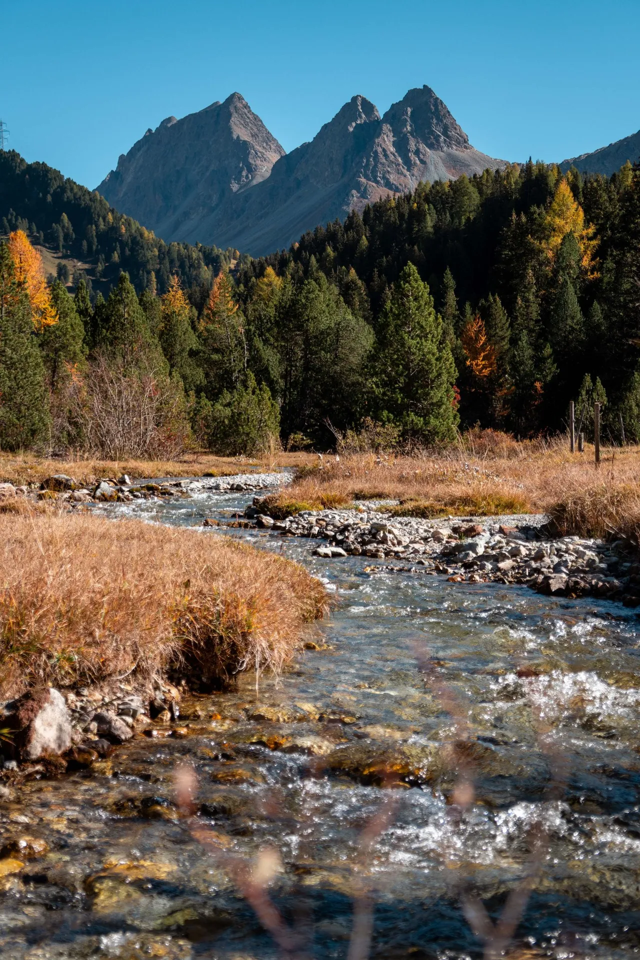 Ein Bach zwischen trockenem Gras, dahinter der Piz da las Blais und der Doppelgipfel des Dschimels
