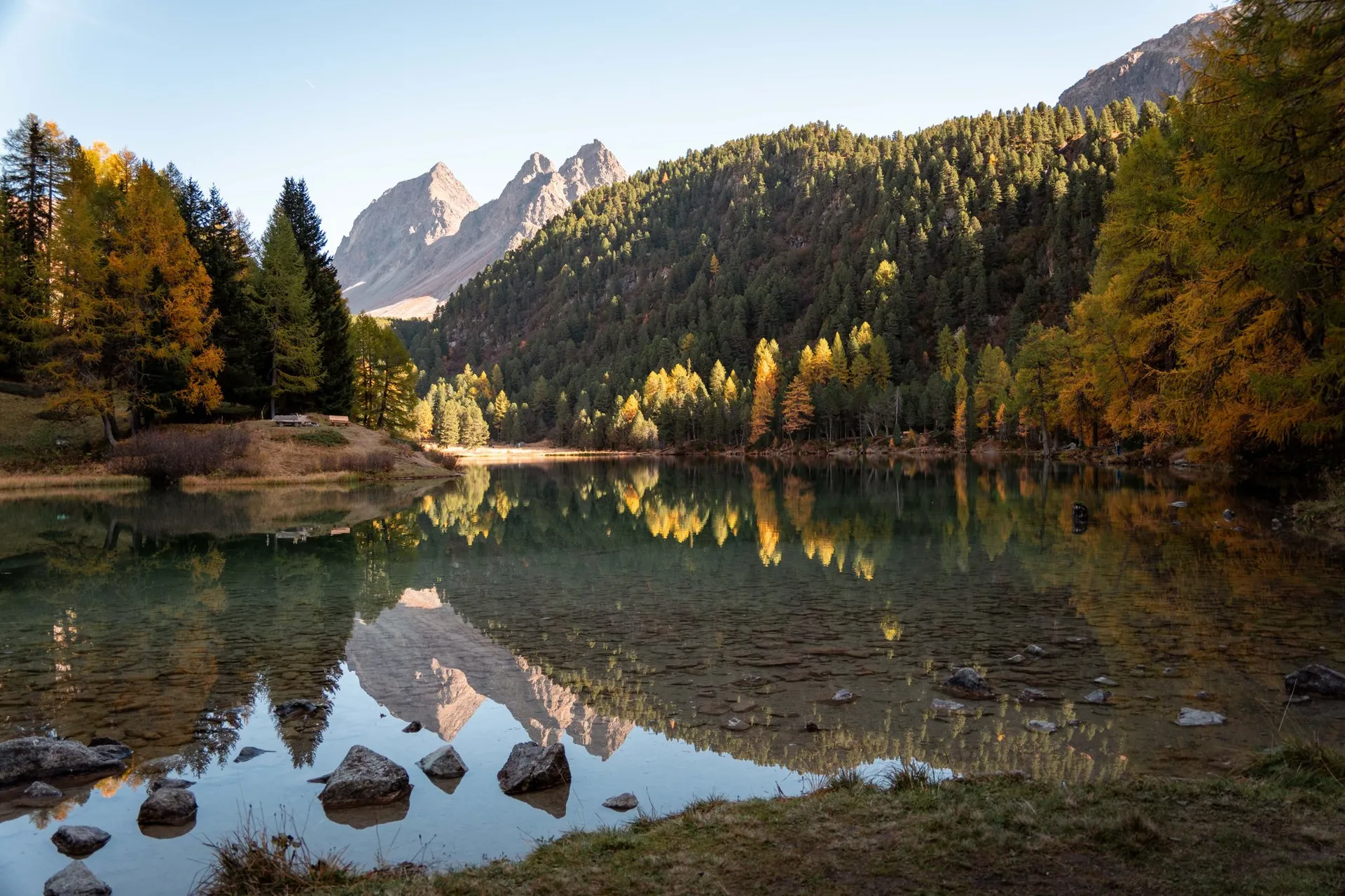Steine am Ufer des Lai da Palpuogna, im stillen Wasser spiegeln sich Lärchen und Gipfel