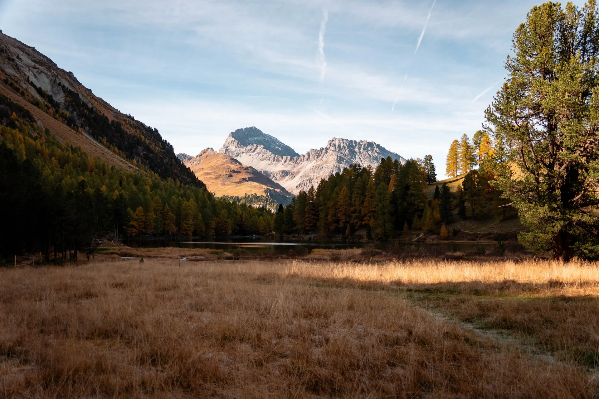 Eine Riedwiese mit goldenem Gras östlich des Lai da Palpuogna, dahinter der See im Schatten und der Piz Ela