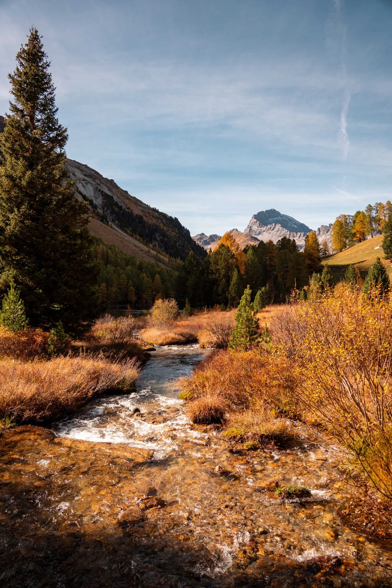 Ein Bach zwischen Sträuchern in Herbstfarben, in der Ferne der Piz Ela