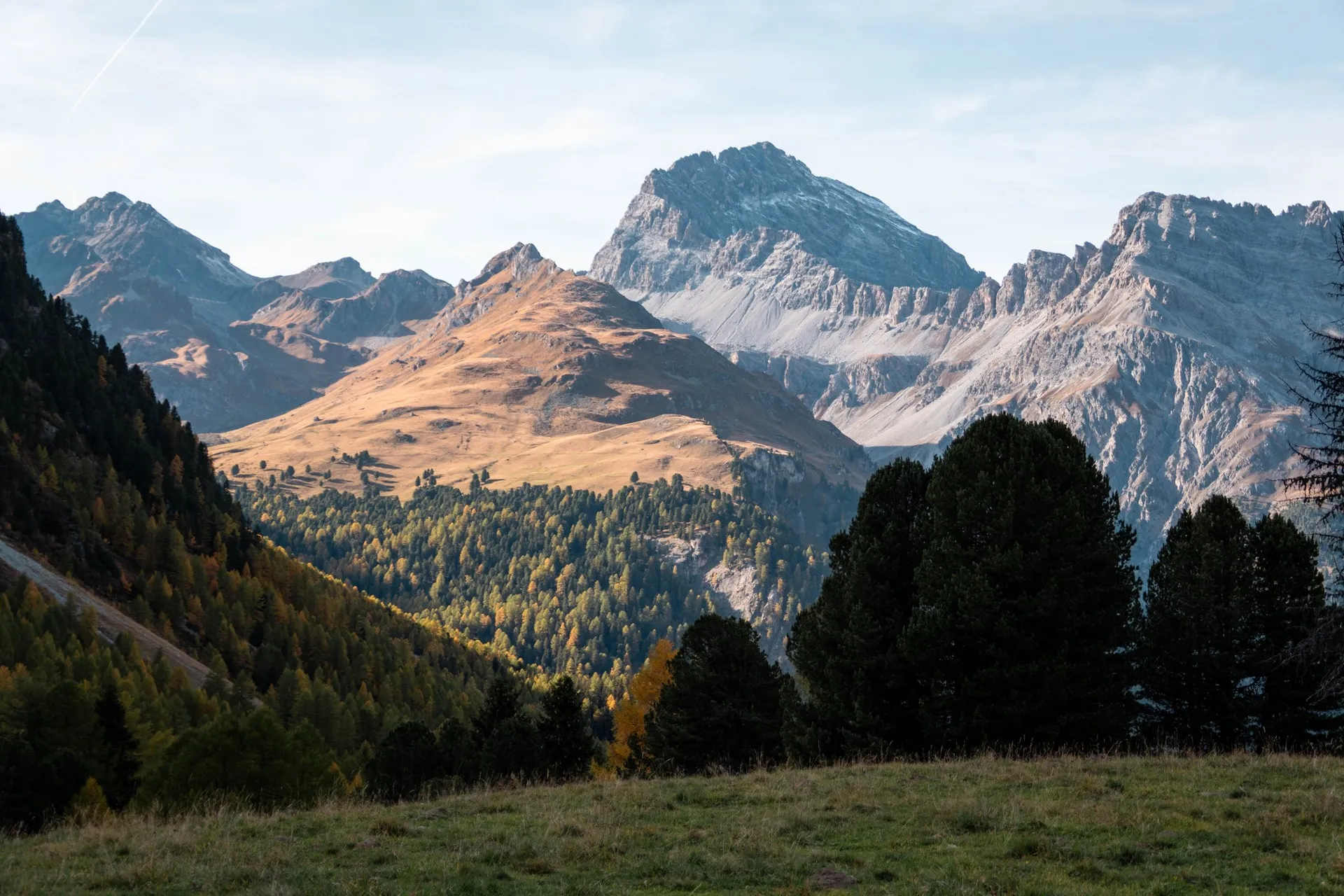 Der Piz Ela und der Grat des Piz Rugnux über Wald und Wiese