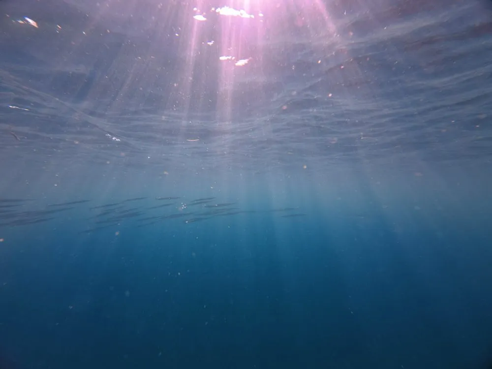 Sonnenstrahlen fallen durch die Wasseroberfläche ins tiefe Blau, in der Ferne zieht ein Schwarm schmaler Fische