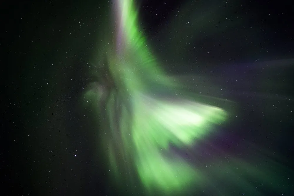A northern light as a green whirl of rays against the starry sky
