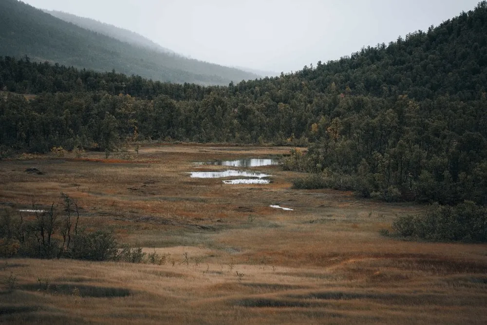 Mefjordvær. Bild 6