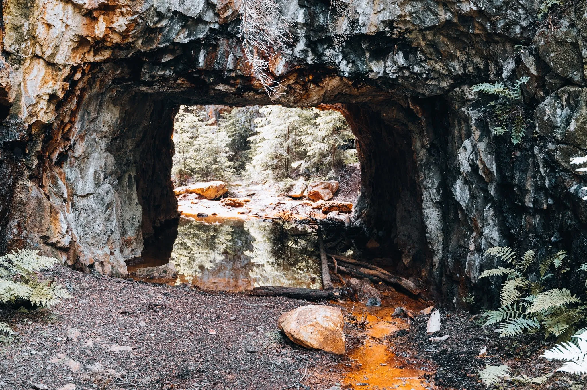 Rock passage at the entrance of the Sätragruvan mine, orange-coloured water on the ground, ferns on the right, forest behind