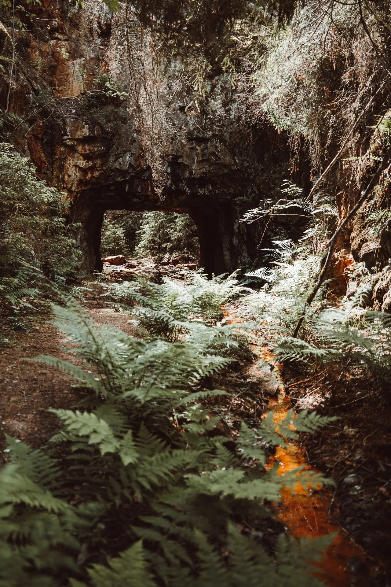 Ein Teil der alten Mine von Sätragruvan: Dunkler Felsdurchgang hinter Farn, rechts ein orange gefärbter Wasserlauf