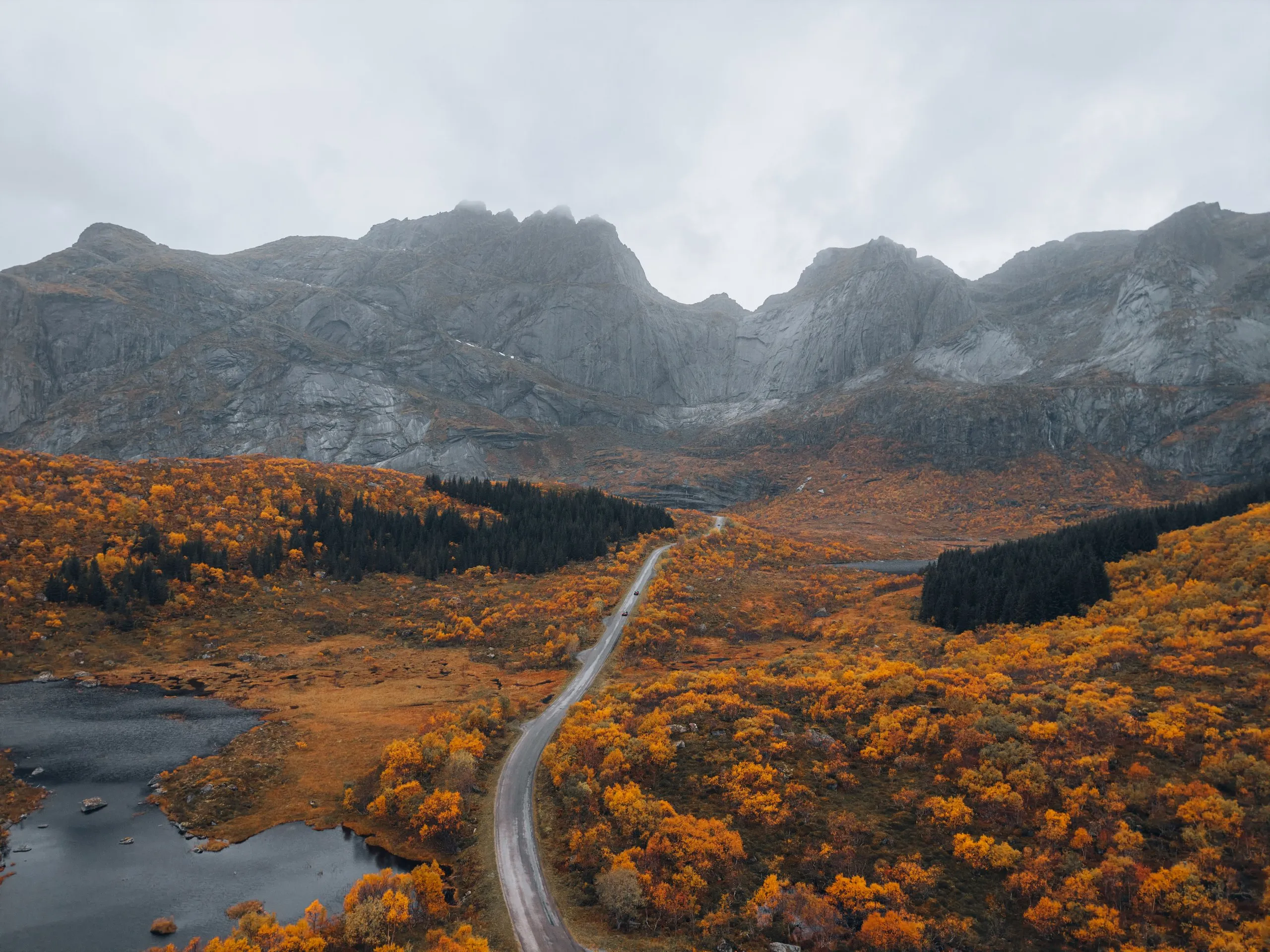The road to Nusfjord from the air, winding through yellow and orange shrubs towards grey rock faces