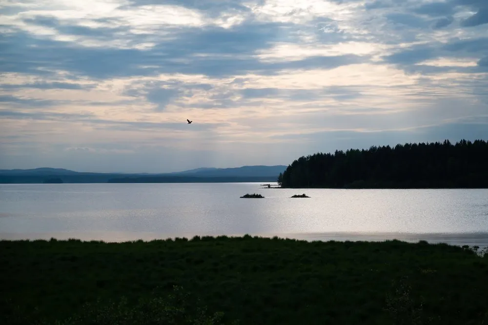 Evening mood over a lake, a bird flies over the water, dark forest on the shore