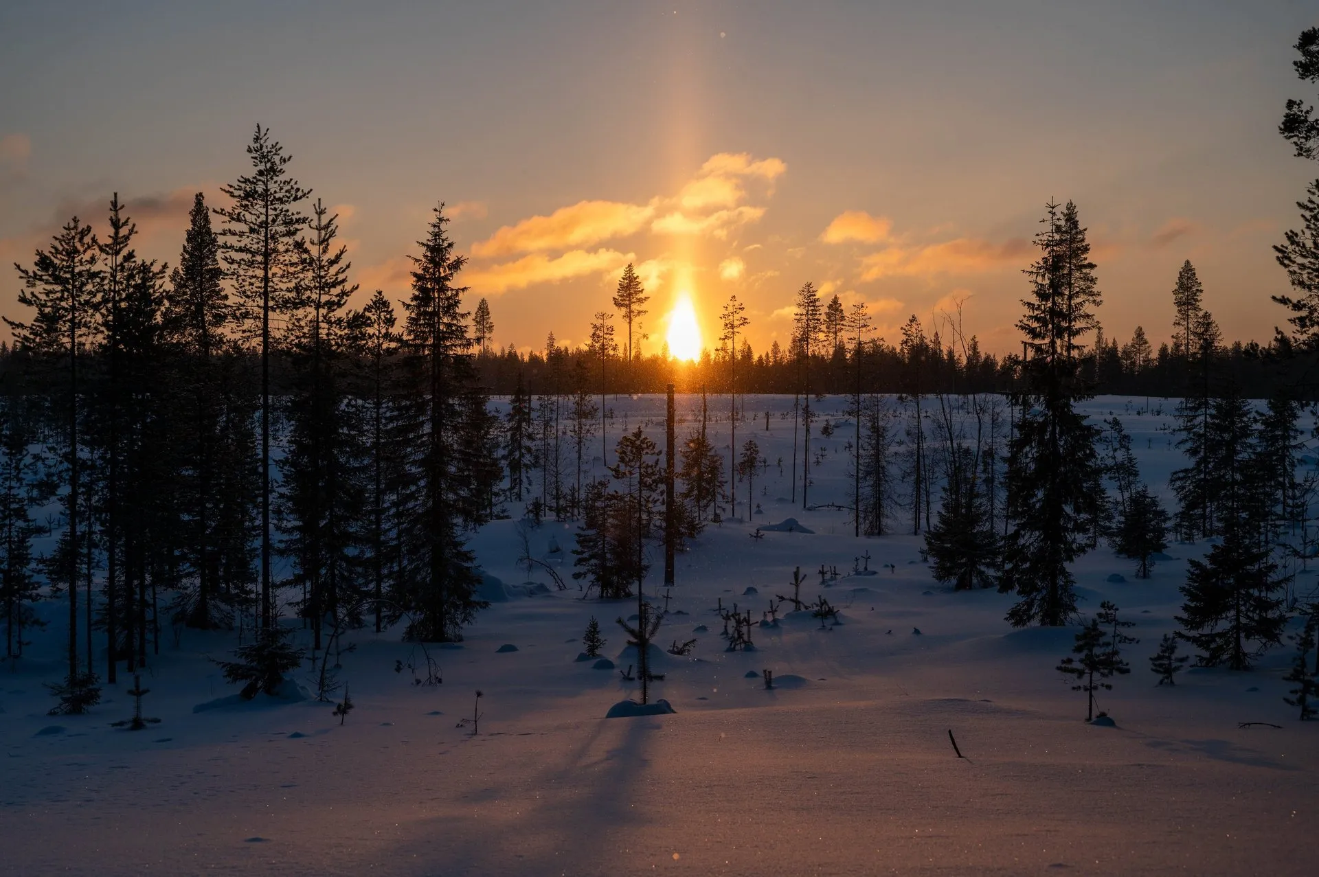 Oulanka Nationalpark, photo 10