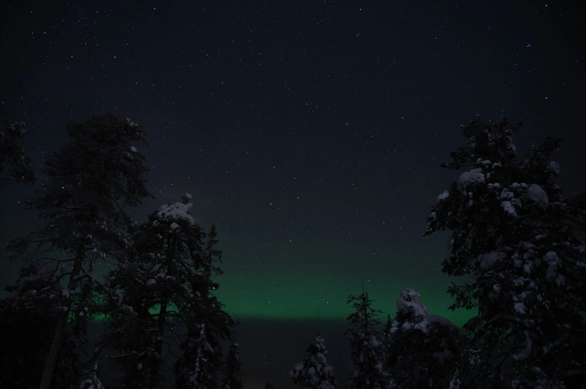 Oulanka Nationalpark, photo 11