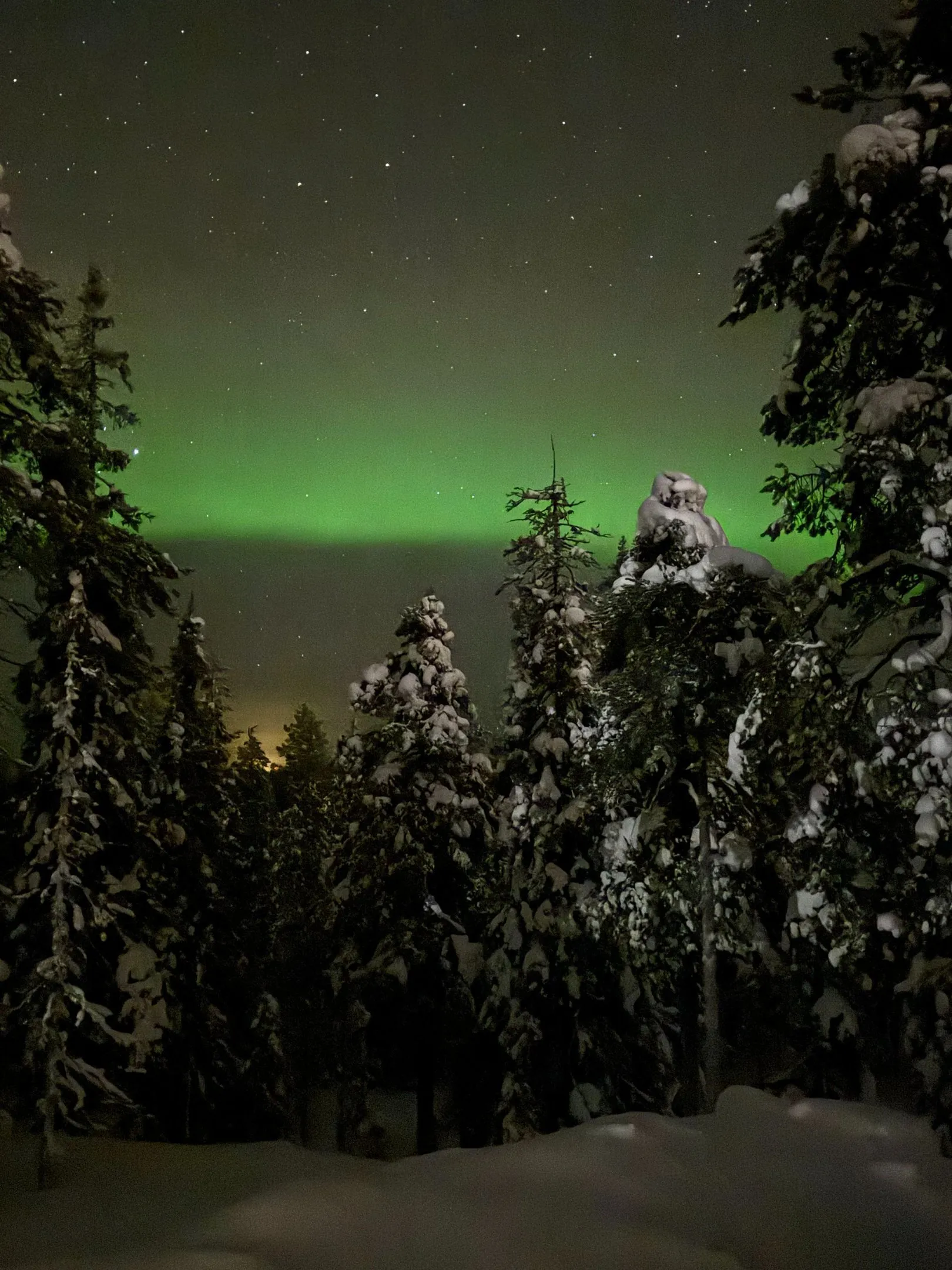 Oulanka Nationalpark, photo 12