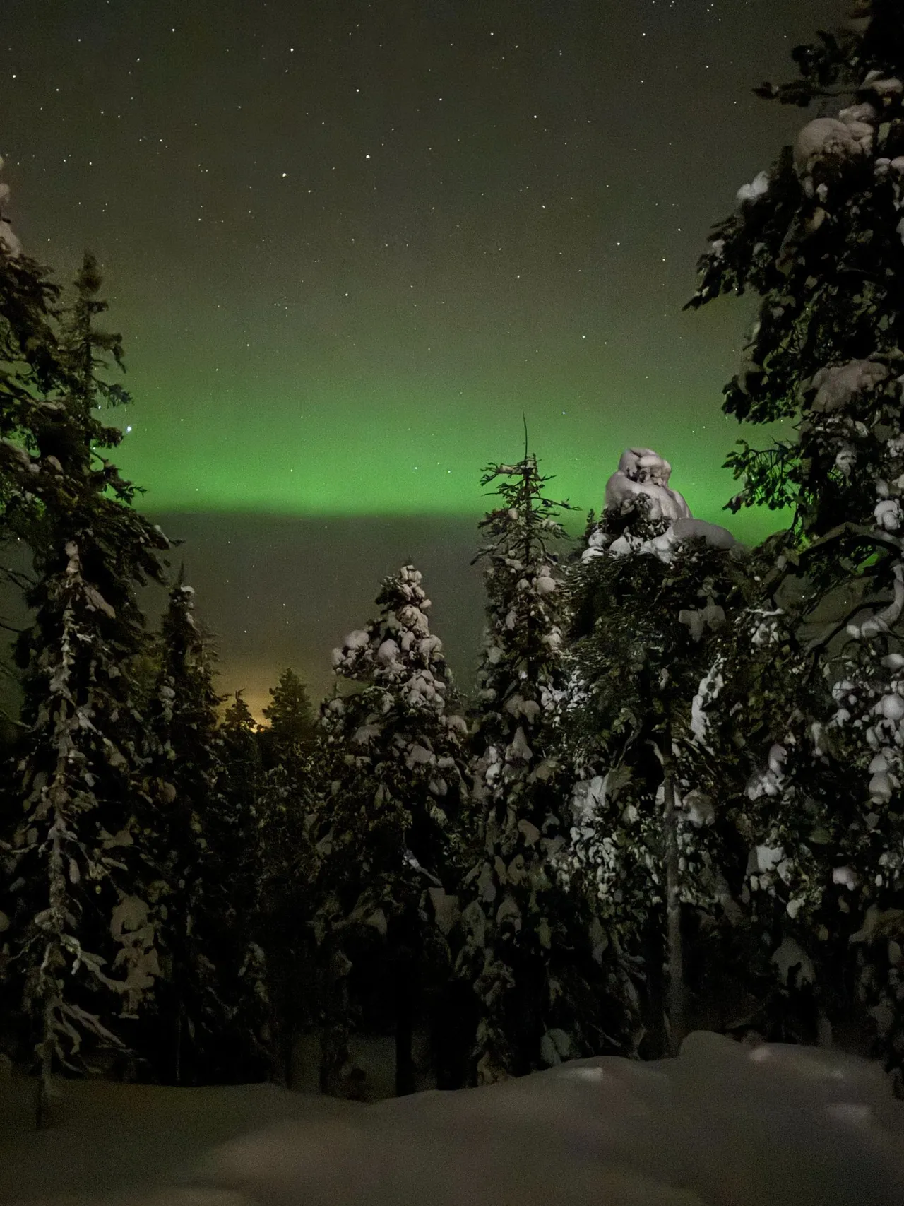 Green aurora between the treetops by the Airbnb
